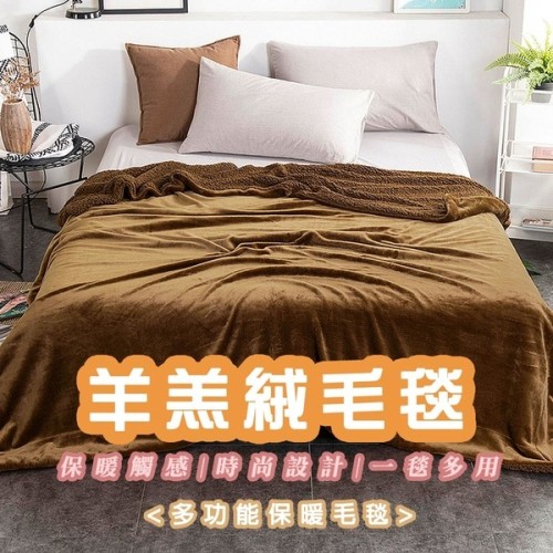 買一送一 頂級歐風羊羔絨毯 (150x200cm/入)